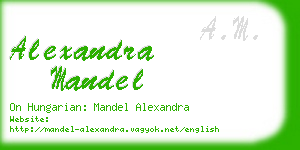 alexandra mandel business card